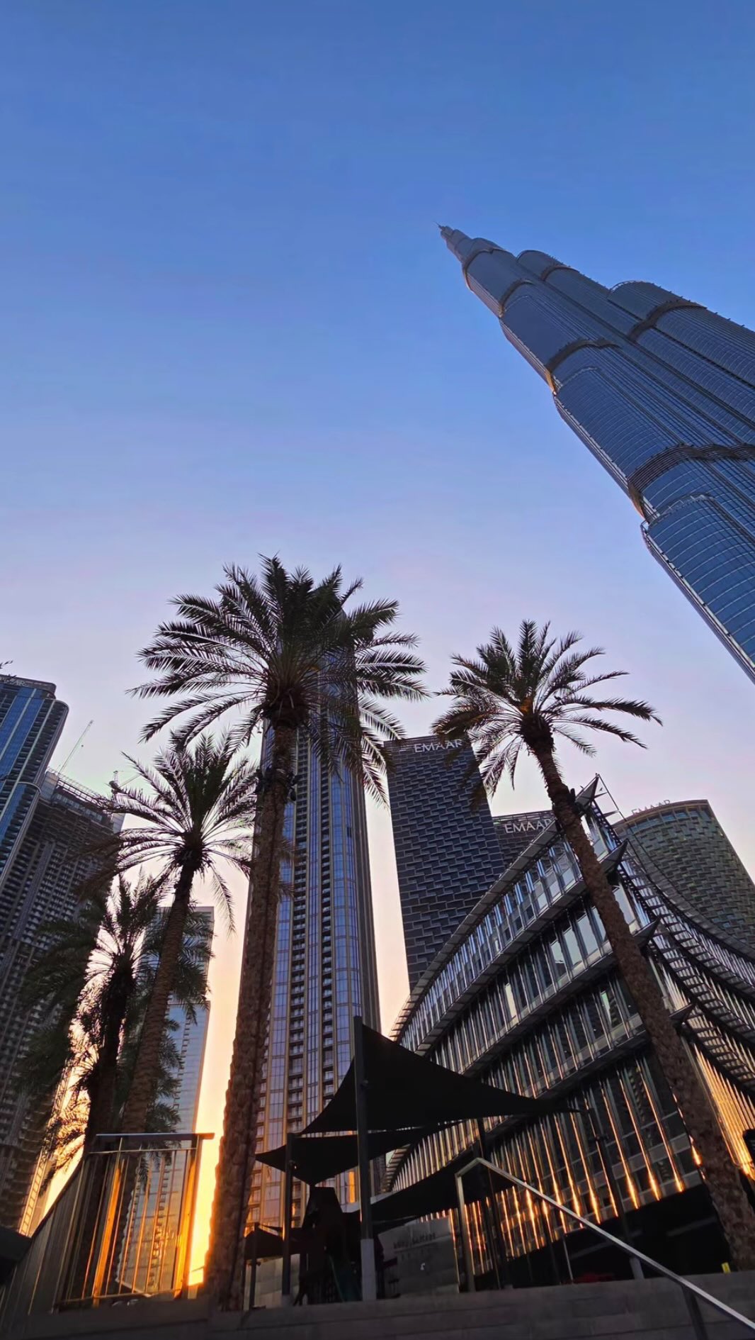 Published Dubai arrival Reel cover looking up between towers and palm trees.